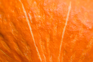 Pumpkin macro background. Orange vegetable background texture