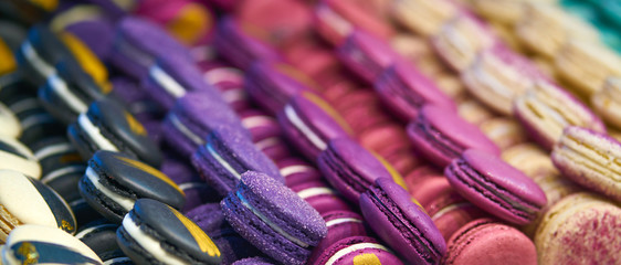 Macarons Multi-colored different types of cookies with cream. big set