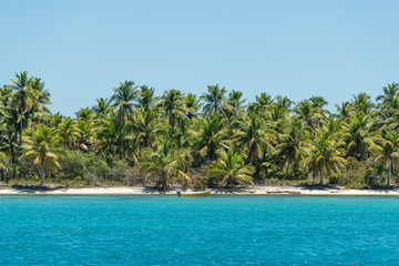 Coastline of tropical island with beautiful palms (background)