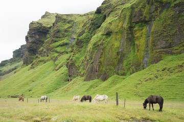 Berglandschaft mit Wasserfällen im Vatnajökull-Nationalpark / Süd-Island