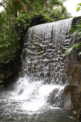 waterfall in Hong Kong Shun Mun valley park 