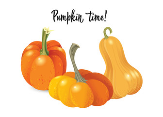 Halloween pumpkin set. Different shapes and sizes orange gourd isolated on white background. Vector illustration.