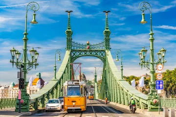 Papier Peint photo Lavable Budapest Pont de la Liberté à Budapest