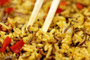 food with worms, rice with worms, protein breakfast