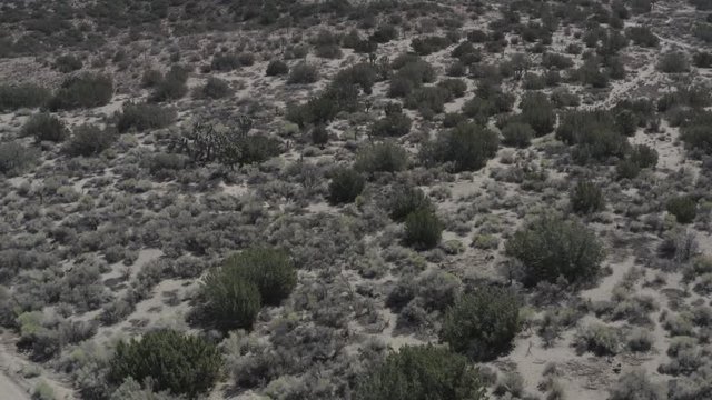 Aerial pullback shot of a barren desert land with some small shrubs.