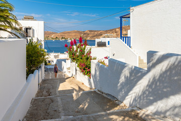Beautiful whitewashed Greek architecture with summer flowers in sunny day. Serifos island. Greece © vivoo