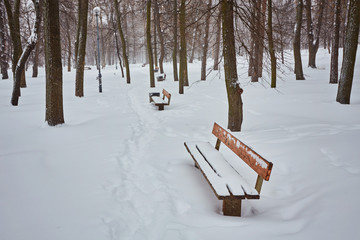 Benches in the winter city park. Filled up with snow.