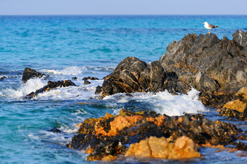 Coastal rocks of Socotra island in the rays of the setting sun.