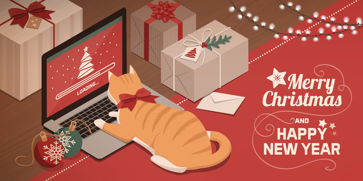 Cat watching Christmas app loading on the laptop