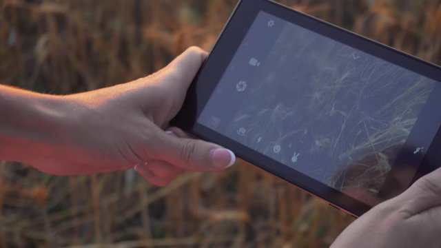 Woman researcher shoots video on camera tablet with wheat field