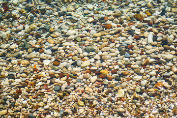 texture & backgrounds