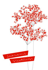 Christmas card with elegant branches of snowy berries isolated on white background