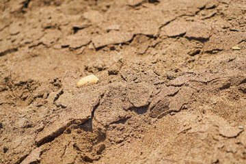 sands texture