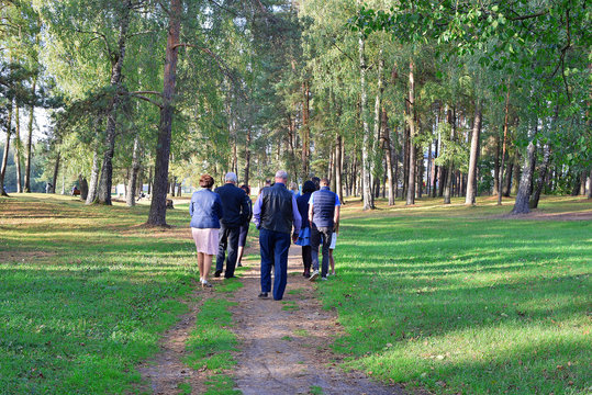 Group of senior and middle age people walking around park in autumn day back view image.