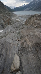 Oberaarsee, Grimsel, Oberaargletscher, Alpine Flora
