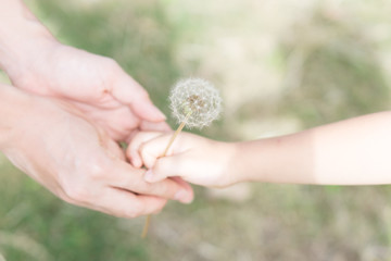 エコロジー　愛　誕生　平和