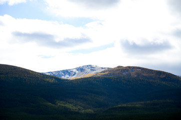 秋のカナディアンロッキー　バンフ国立公園の黄葉の山並み（カナダ・アルバータ州）