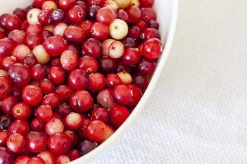 Cranberries in a bowl