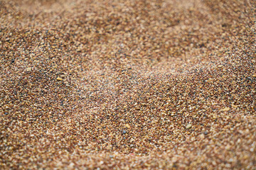 sands close up