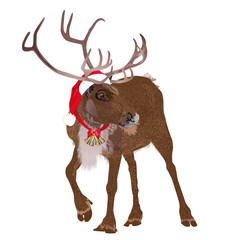 Deer in a funny Santa's red cap.   Isolated on a white background. Vector illustration.