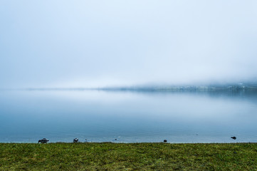 Naklejka na ściany i meble Foggy morning on the border of calm lake in Austrian Alps