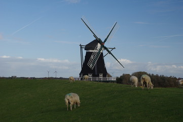 Alte Windmühle auf Pellworm