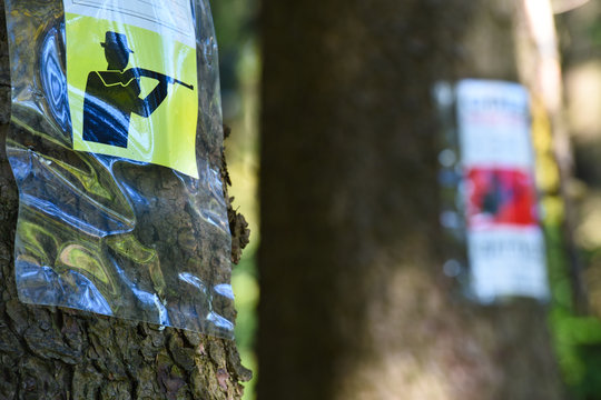 chasse chasseur foret affut approche battue arme gibier loisir nature environnement saison automne bois Ardenne SPW avis affichage animaux