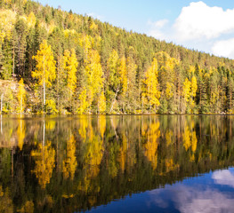 Finnish autumn landscape