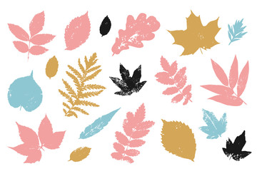Hand drawn colorful leaves elements set. Autumn leaf shape background.