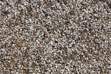 pebbles on the beach