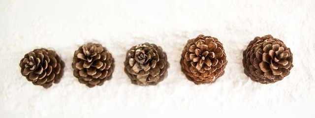 Merry christmas and happy new year greeting card with copy-space.fir cones on white snow. Winter background. Panorama