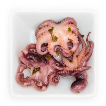 Tintenfische Moscardini &Ouml;l in Schale