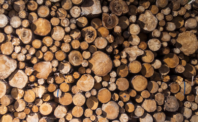 Aufgestapeltes Holz