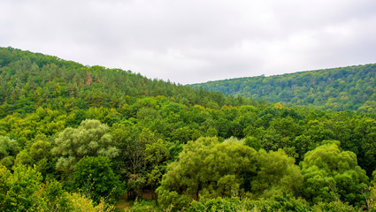 Fototapeta na wymiar Photo of green forest panorama aerial view in cloudy day