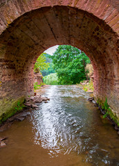 Photo of mountain river flowing through the arch in green forest