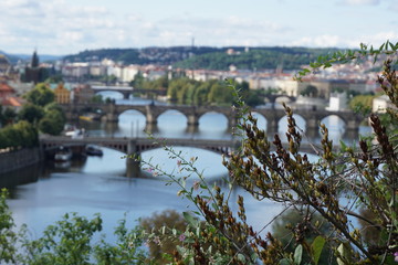 Obraz premium Prag Moldau Brücken 2