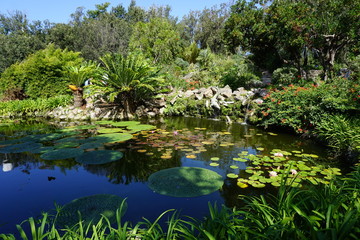 Teich Garten