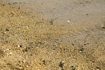 texture & backgrounds