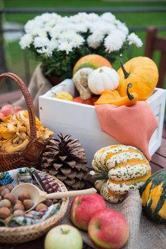 Decoration for halloween with pumpkins, nuts and flowers on the table in autumn