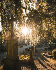 Abendstimmung auf dem Friedhof