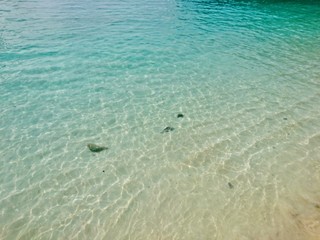 The sea is so clear that it can see the sand.