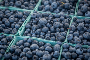 Blueberries at the farmers market