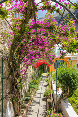 Beautiful Italian alley in Positano, Amalfi Coast