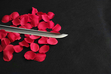 黒いフェルト上に撒いた赤い造花の花びらと、その上に置いた日本刀の刀身