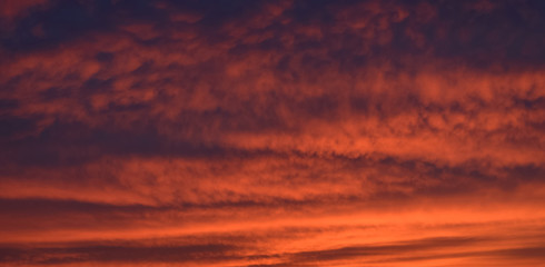 Fototapeta premium Dramatic sunset sky with orange colored clouds.