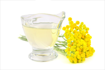Isolated Helichrysum Arenarium Infusion Oil (Dwarf Everlast, Immortelle).