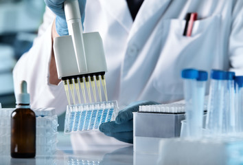 research technician with multipipette in genetic laboratory / hands of scientist working with...