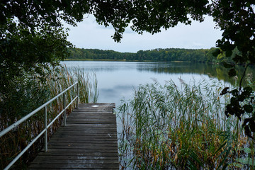 Landing stage at a rural lake with a safety railing to the left and a forest in the background. At the side reed comes out of the water