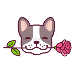 French Bulldog with rose