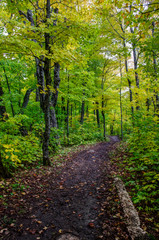 Obraz premium Hiking Trail in autumn woods